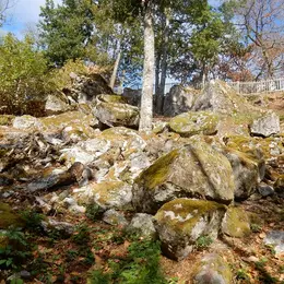 Visite commentée du sentier des meulières