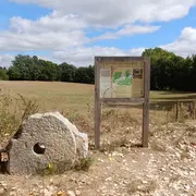 Visite commentée du sentier des meulières