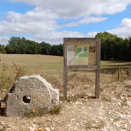 Visite commentée du sentier des meulières