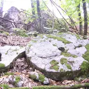 Visite commentée du sentier des meulières