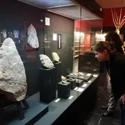 Visite commentée : La collection Préhistoire du musée