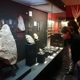 Visite commentée : La collection Préhistoire du musée