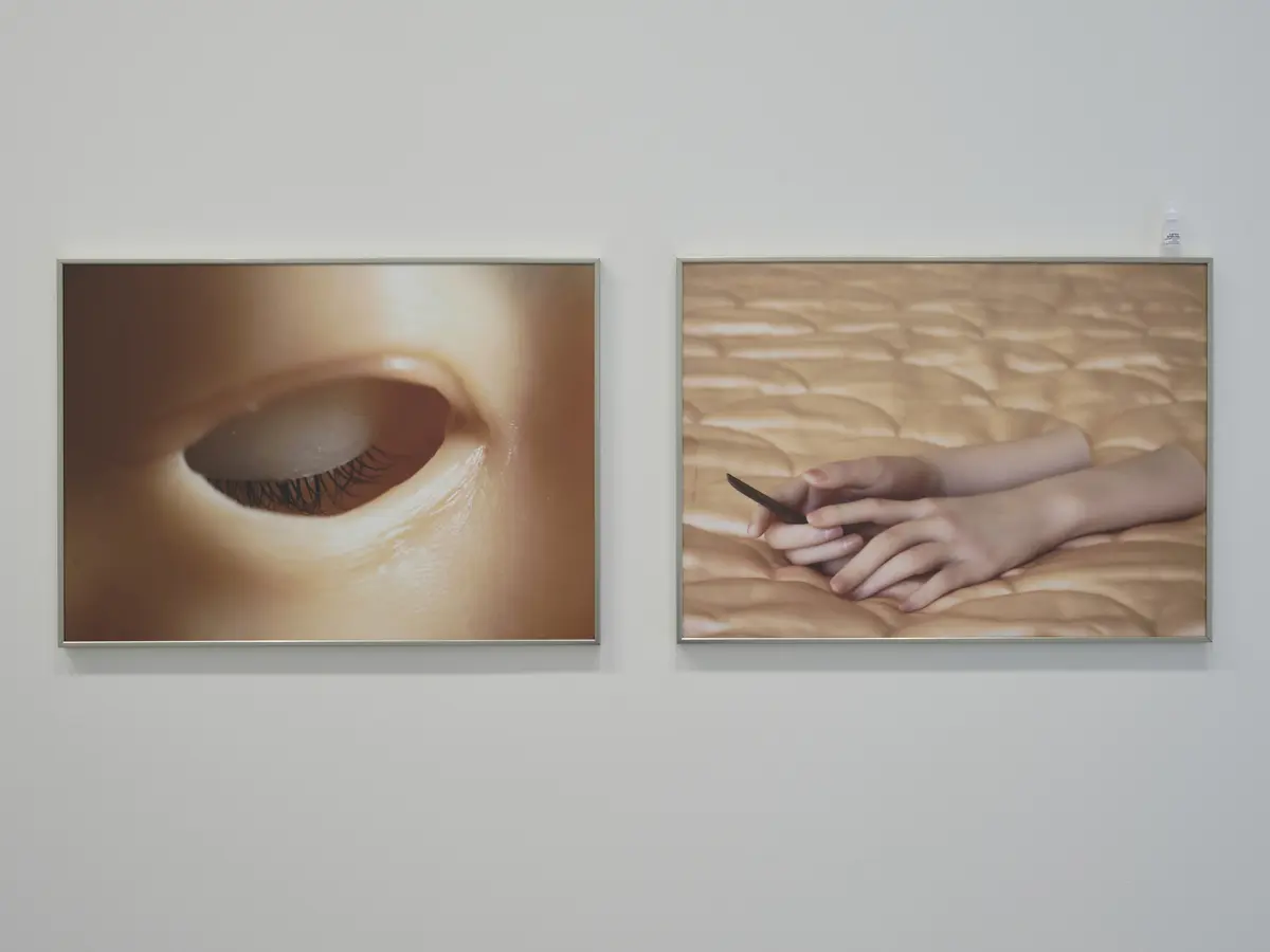 Visite commentée · là où les organes oragent