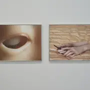 Visite commentée · là où les organes oragent