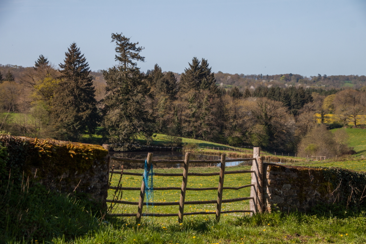 Visite commentée - paysage de mémoire, mémoire de paysage