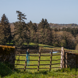 Visite commentée - paysage de mémoire, mémoire de paysage