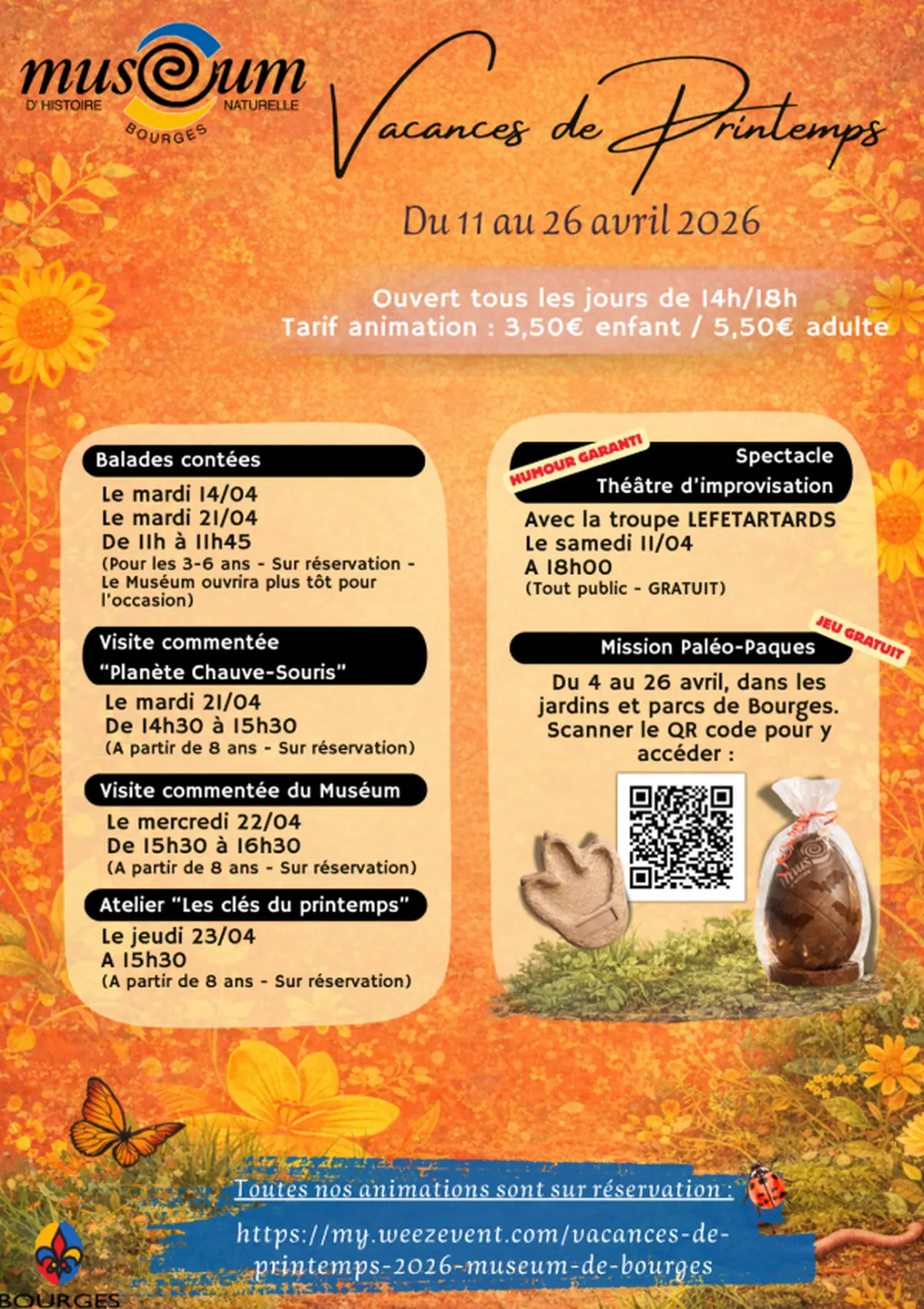 Visite Commentée Planète Chauve-Souris