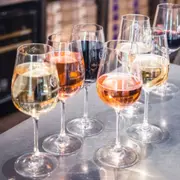 Visite complète & dégustation au domaine P&B Couly (37)