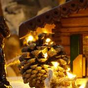 Visite contée : Jeanne et la quête du remède magique