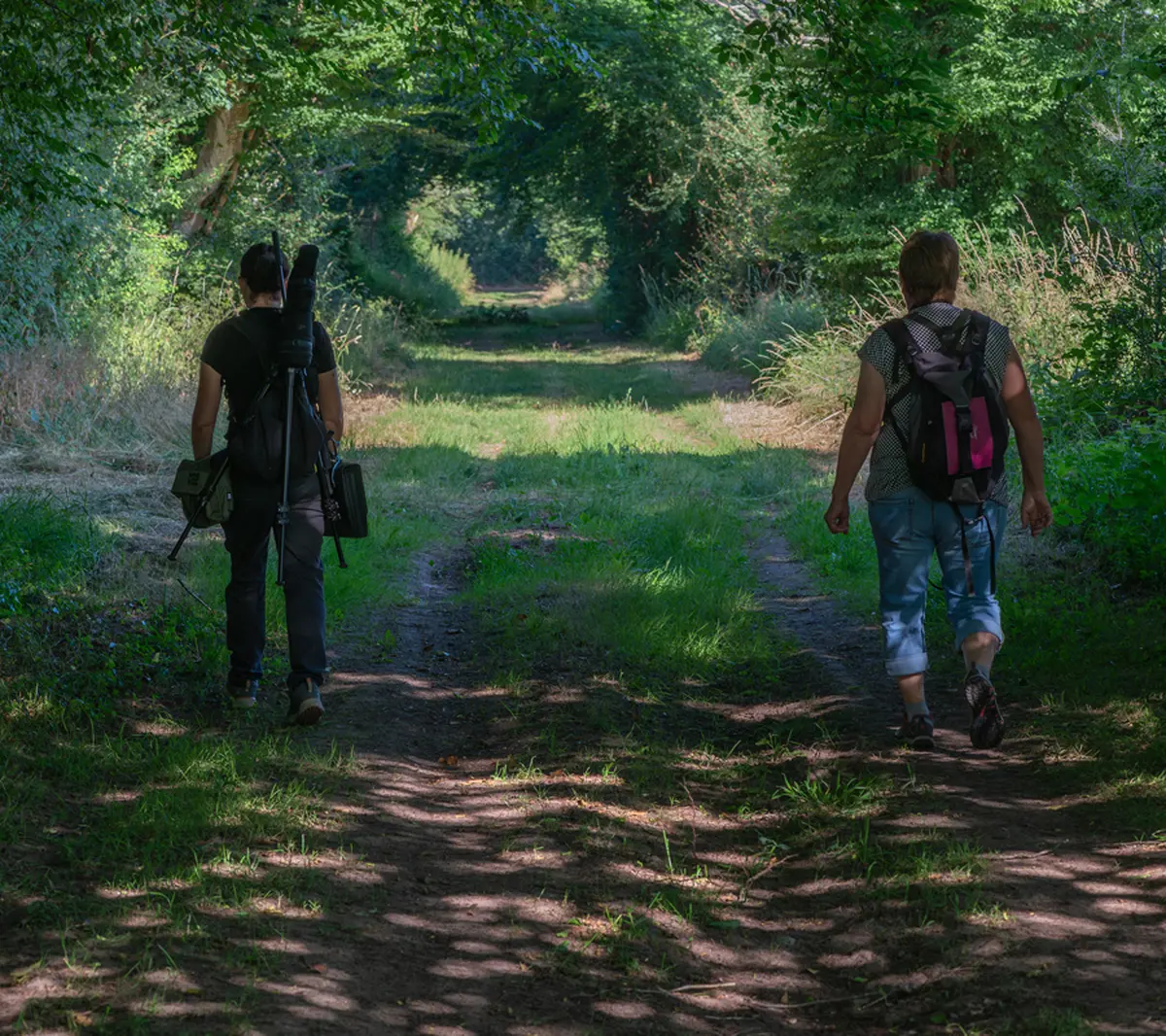 Visite crépusculaire du bocage