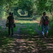 Visite crépusculaire du bocage