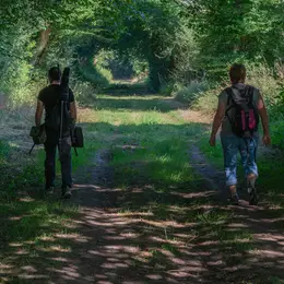 Visite crépusculaire du bocage