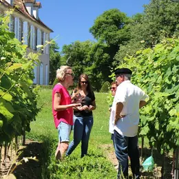 Visite Crouseilles Signature, au Château de Crouseilles