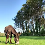 Visite d'Ane Apurna