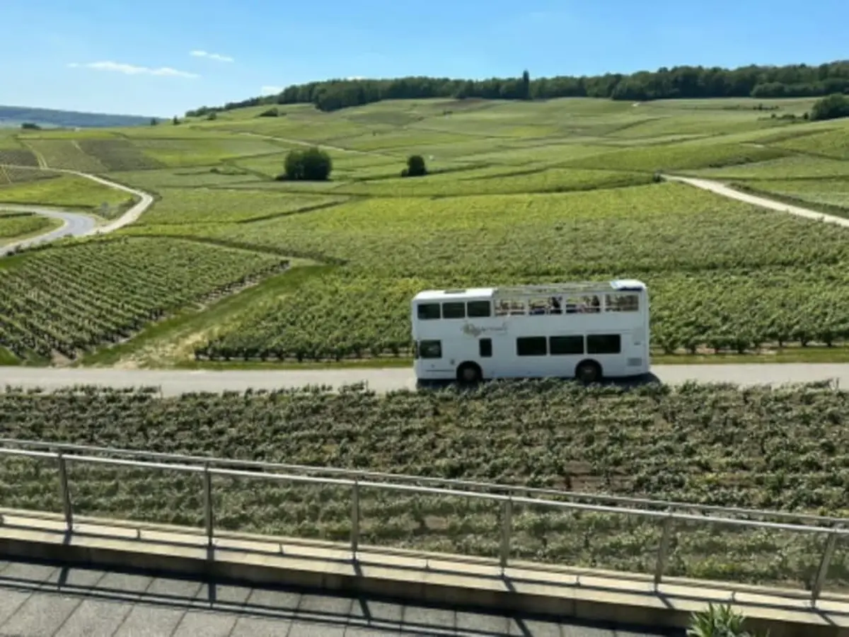 Visite d'Épernay et alentours avec coupes de Champagne