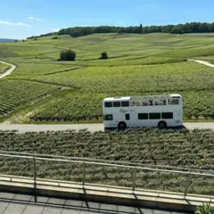 Visite d'Épernay et alentours avec coupes de Champagne
