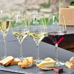 Visite d'un domaine & découverte du vin à Saint-Hippolyte (68)