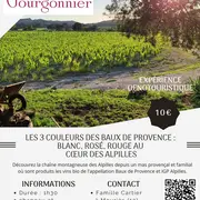 Visite d'un domaine viticole - Mas de Gourgonnier