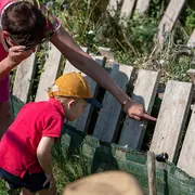 Visite d'un élevage d'escargots
