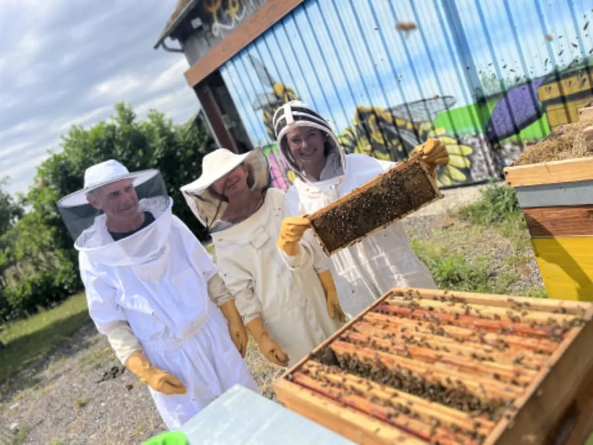 Visite d'un rucher pédagogique à Bois-Anzeray (27)