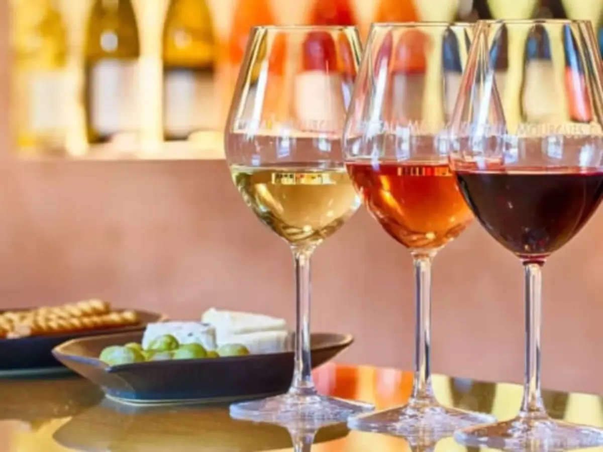 Visite d'un vignoble et apéritif à Beaucaire (30)