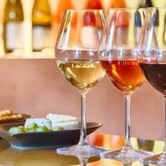 Visite d'un vignoble et apéritif à Beaucaire (30)