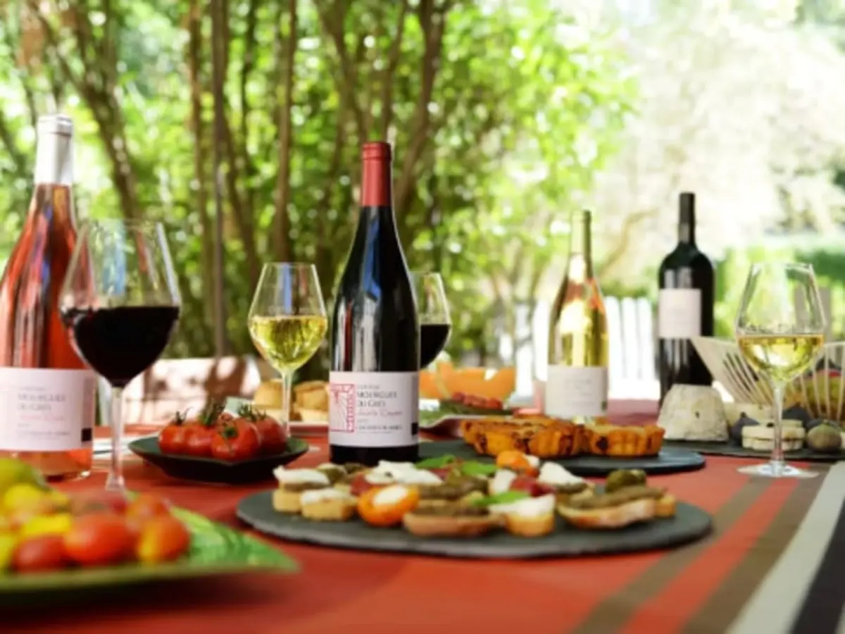 Visite d'un vignoble et pique-nique à Beaucaire (30)