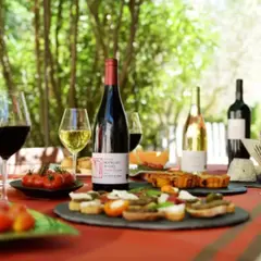 Visite d'un vignoble et pique-nique à Beaucaire (30)