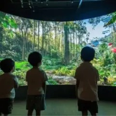Visite d'un Zoo Holographique à Saint-Ouen-sur-Seine (93)
