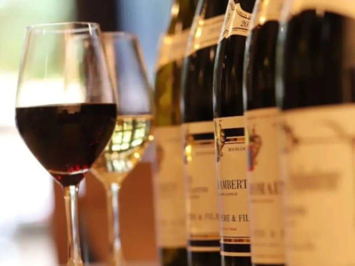 Visite d'une cave et découverte des Vins de Bourgogne (21)