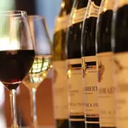 Visite d'une cave et découverte des Vins de Bourgogne (21)