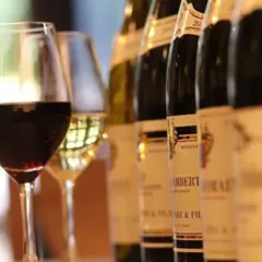Visite d'une cave et découverte des Vins de Bourgogne (21)