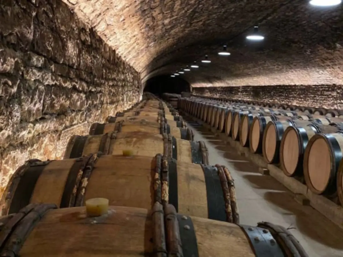 Visite d'une cave et Dégustation de Vins de Bourgogne (21)