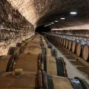 Visite d'une cave et Dégustation de Vins de Bourgogne (21)