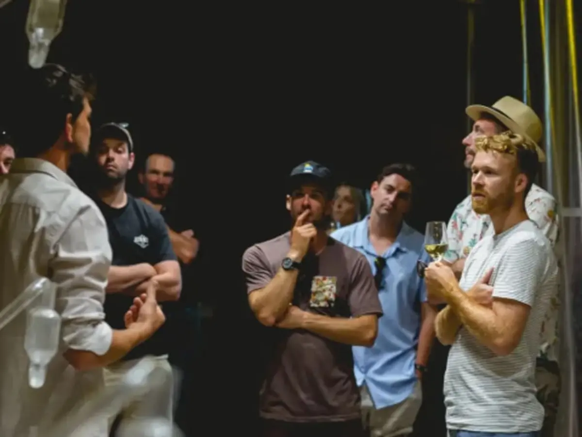 Visite d'une Cave et la dégustation de vins au domaine Achillée