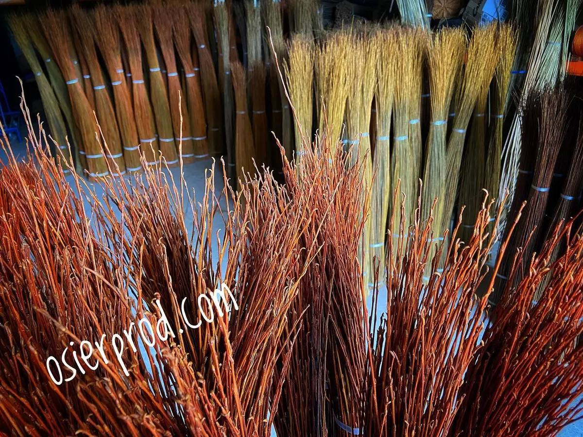 Visite d'une exploitation productrice d'osier l'entretien