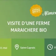 Visite d'une ferme maraichère bio