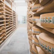 Visite d'une fruitière à comté