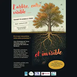 Visite de Berdassit : l'arbre entre visible et invisible