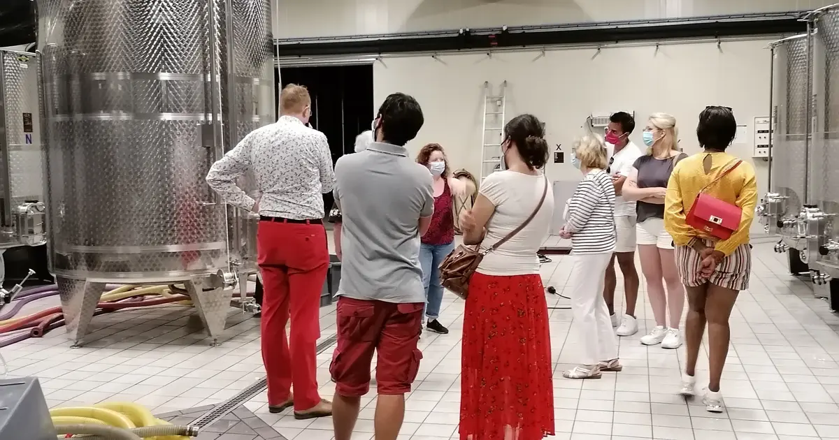 [Visite de cave]: Domaine Eric Louis