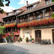 Visite de cave & dégustation à Dambach-la-Ville (67)