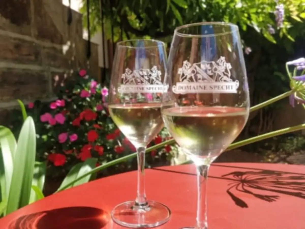 Visite de cave & dégustation de vins à Mittelwihr (68)