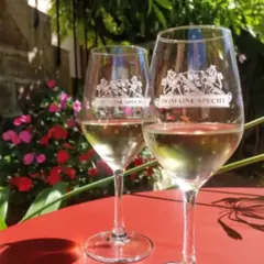 Visite de cave & dégustation de vins à Mittelwihr (68)
