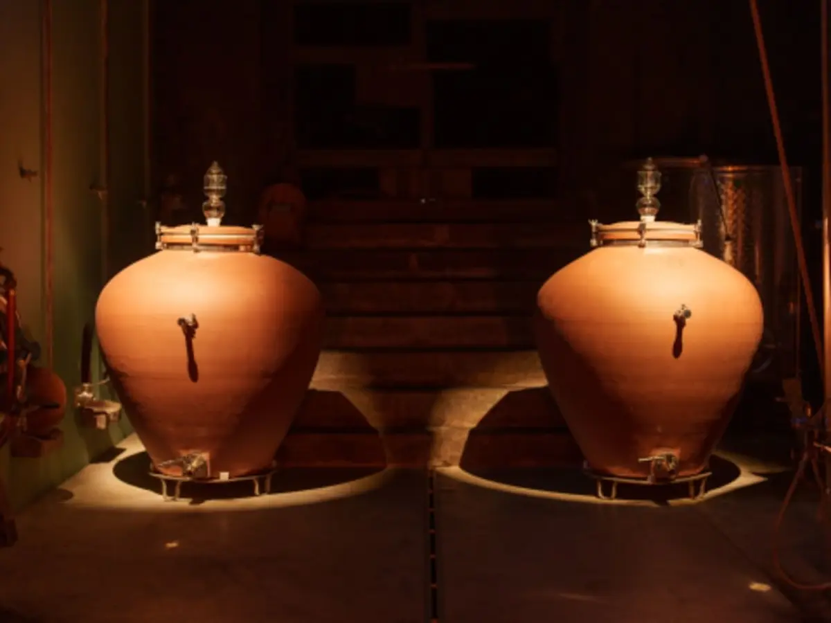 Visite de cave & dégustation de vins au domaine Zeyssolff (67)