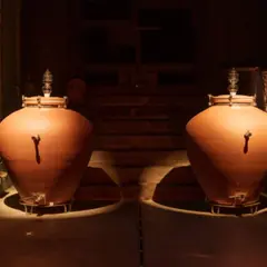 Visite de cave & dégustation de vins au domaine Zeyssolff (67)