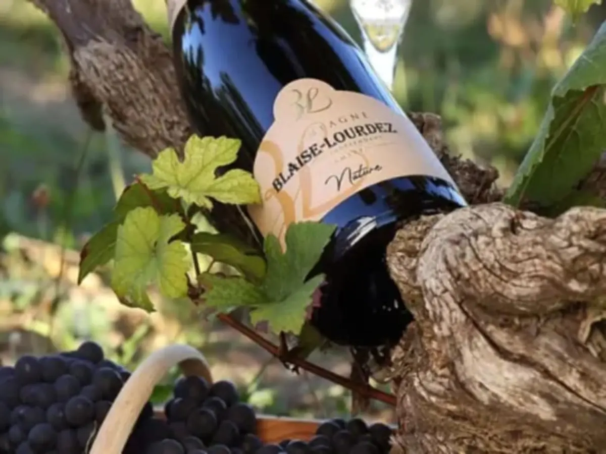 Visite de caves & dégustation de champagne à Damery (51)