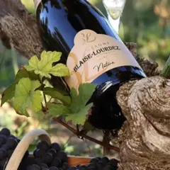 Visite de caves & dégustation de champagne à Damery (51)