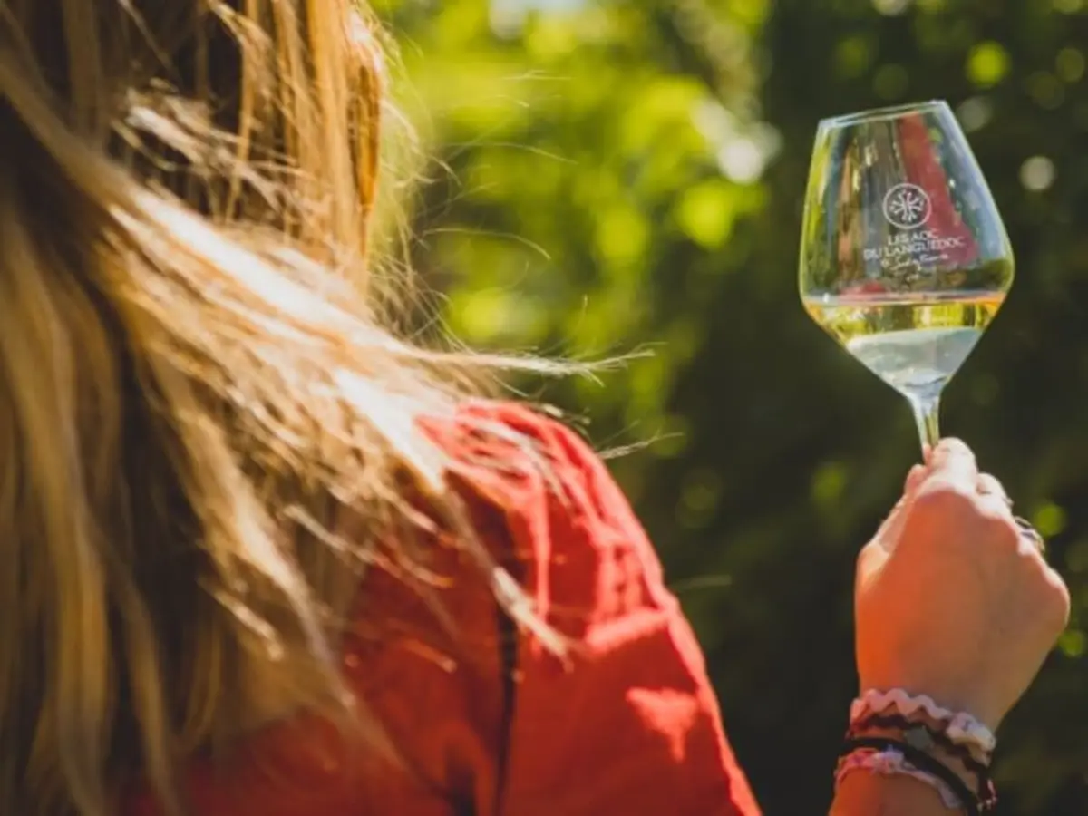 Visite de domaine et dégustation de vins  à Pézenas (34)