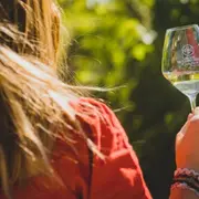 Visite de domaine et dégustation de vins  à Pézenas (34)