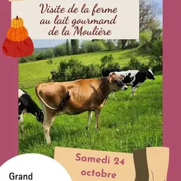 Visite de ferme : Lait gourmand de le Moulière